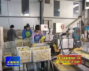 我區著力做大做強農業重點項目 農產品加工實現高質量發展