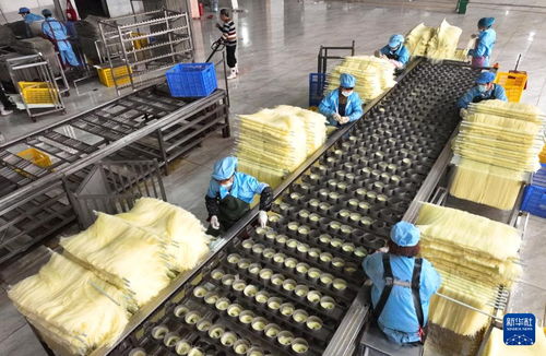 農產品加工助民增收——湖南衡陽的成功實踐