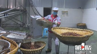 重慶農產品加工業定下“小目標” 3年增加1000億元產值