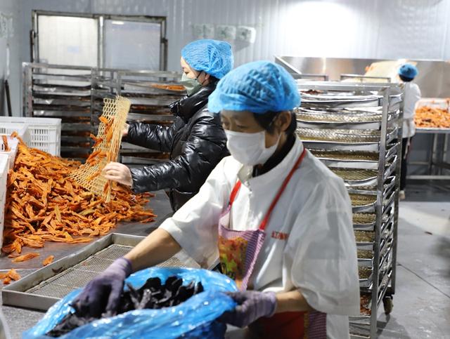 春節(jié)不停產 農產品加工忙