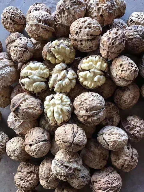 農產品加工 連接農業(yè)與工業(yè)的橋梁及其發(fā)展前景