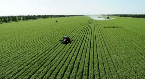 唐華俊院士 智慧農業(yè)賦能農產品加工，推動農業(yè)現代化高質量發(fā)展