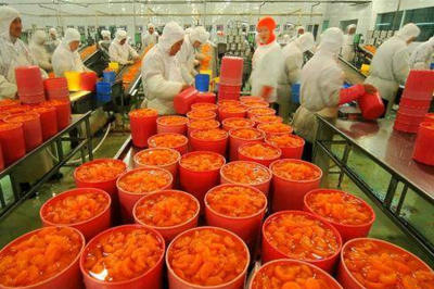 2017年農業大額項目補貼 最后4項農產品加工政策詳解