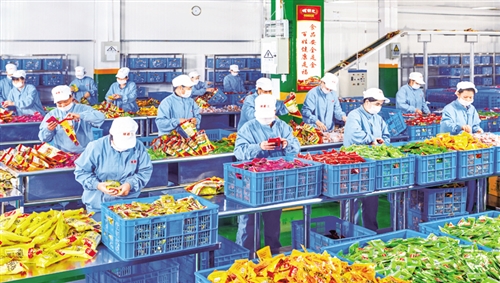 廣西推動農產品加工業集聚發展，助力農業現代化轉型