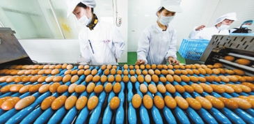 浦東農(nóng)產(chǎn)品深加工嶄露頭角，推動農(nóng)業(yè)現(xiàn)代化轉(zhuǎn)型升級