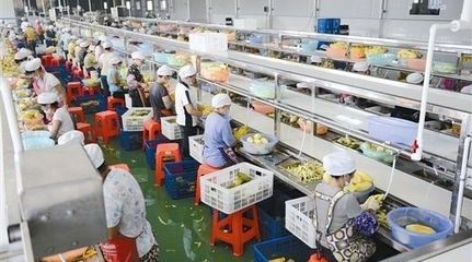 抓住農(nóng)業(yè)的未來！新機(jī)遇都在這五座“金礦”——初級農(nóng)產(chǎn)品購銷