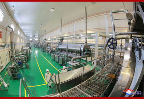 東臺食品機械廠 打造卓越馬鈴薯顆粒全粉生產線的明智之選